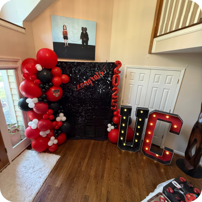 Balloon Decor Photo Backdrop